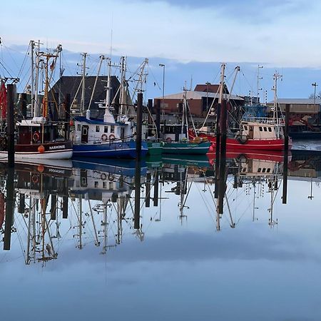 Ferienwohnung Hein Am Nordseedeich بوتجادينغين المظهر الخارجي الصورة