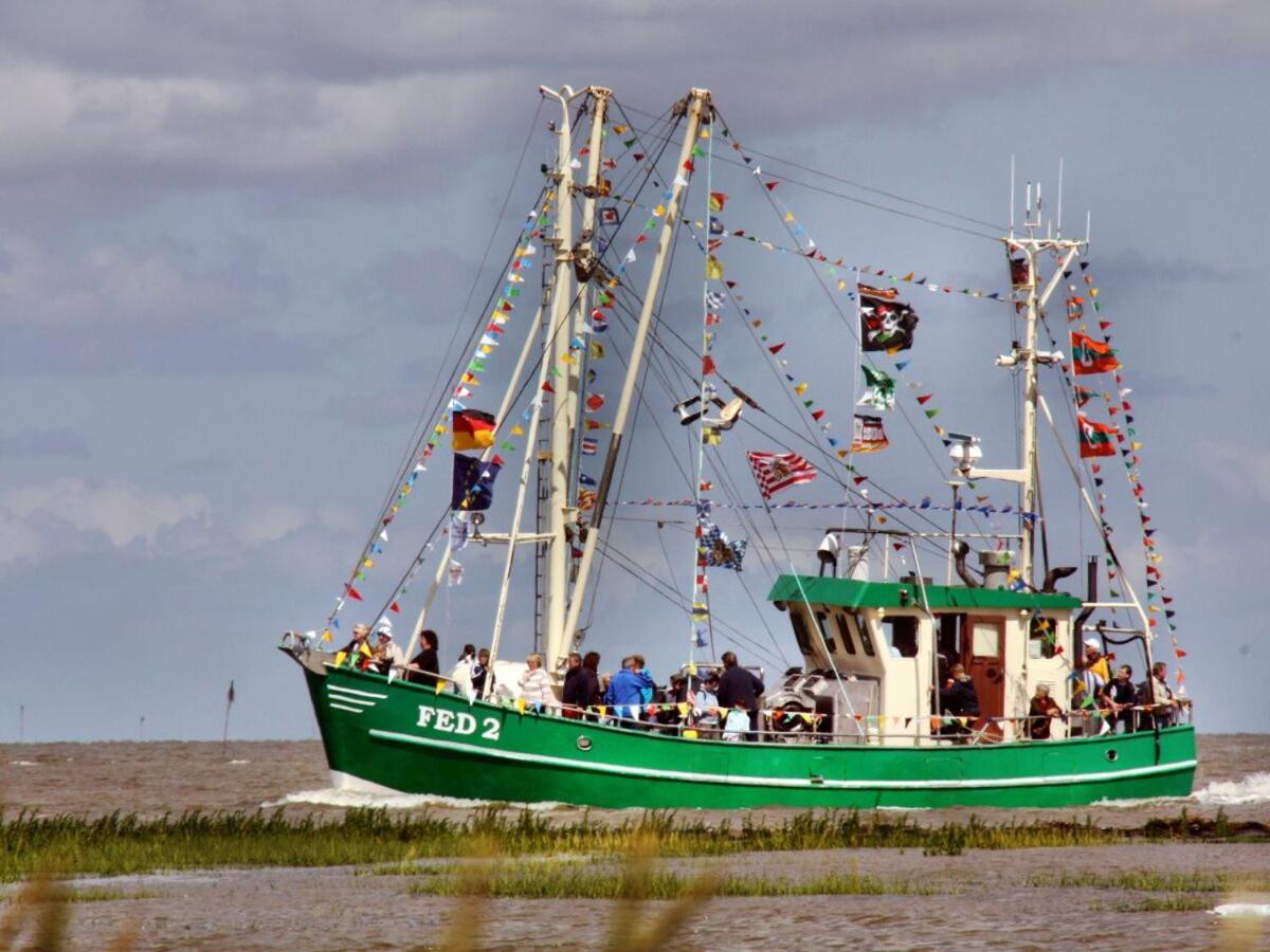 Ferienwohnung Hein Am Nordseedeich بوتجادينغين المظهر الخارجي الصورة