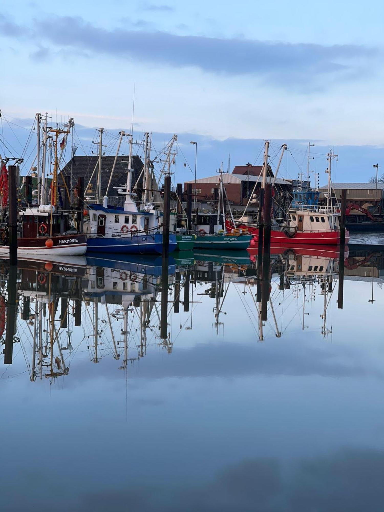 Ferienwohnung Hein Am Nordseedeich بوتجادينغين المظهر الخارجي الصورة