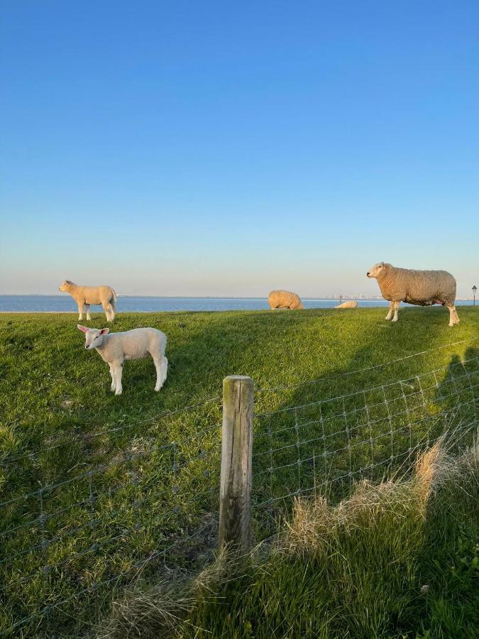 Ferienwohnung Hein Am Nordseedeich بوتجادينغين المظهر الخارجي الصورة
